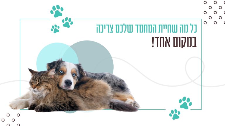 כל מה שחיית המחמד שלכם צריכה במקום אחד