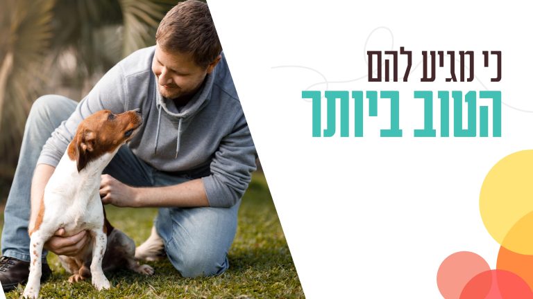 היפופו