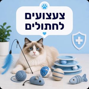 צעצועים לחתולים