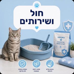 חול ושירותים