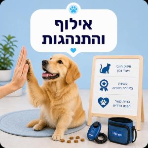 אילוף והתנהגות