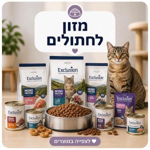 מזון לחתולים