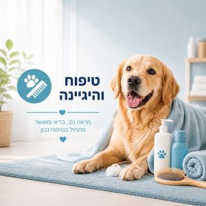 טיפוח והיגיינה