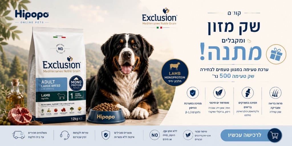 exclusion-slide-dog-gift