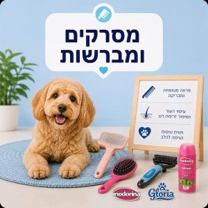 מסרקים ומברשות