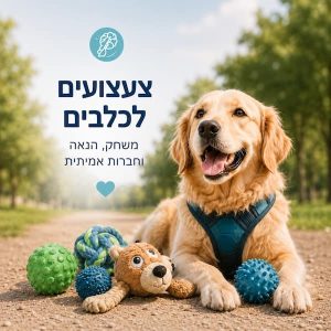 צעצועים לכלבים