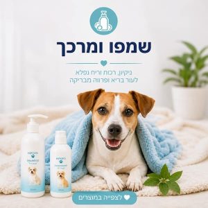 שמפו ומרכך
